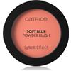 Catrice Soft Blur Powder Brush 5 g