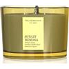 Vila Hermanos Sunlit Mimosa 350 g