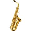 Yanagisawa SASSOFONO CONTRALTO YANAGISAWA A-WO1 A WO1 CON CUSTODIA finitura laccata NUOVO
