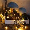 Hellum Luci da fata a LED per esterni con timer, 3,9 m 40 LED bianco caldo con spina, Luci per albero di Natale, cavo in verde <59 lm 577297