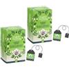 English Tea Shop | Tè Verde Puro, Tè Verde Sencha, Tè Verde Gelsomino, Tè Verde Menta, Tè Verde e Matcha | Collezione Tè Verdi Misti - Totale 2 x 20 Filtri