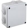 FAEG Cassetta IP55 100x100x50 con passacavi - FG13404