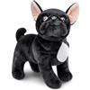 Tiny Heart bulldog francese Peluche 33cm/13 Realistica Peluche Animale Adorabile Regali Morbidi e Carini bulldog francese Peluche per Bambini Ragazzi e Ragazze Giocattoli Peluche per bambini Nero