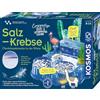Kosmos 633264 Salzkrebse - Überlebenskünstler in der Wüste. Zucht- und Experimentierstation für Urzeitkrebse, Erforsche, wie Tiere und Pflanzen ist der Salzwüste überleben, Experimentierkasten