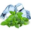 Generico Semi di Menta ghiaccio o Menta Glaciale, Pianta Perenne Rinfrescante per Cucina e Cocktail, Ice Mint Seeds