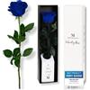 Mia Milano Infinity Rose blu con gambo (durata 3 anni) in scatola regalo | Regalo decorativo per lei | Fiore conservato con profumo di rosa | Inclusa cartolina regalo