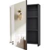 CHOEZON Armadietto da Bagno 45x60 cm a Parete con Specchio, Armadietto per Medicinali Sospeso con Ripiani Regolabili, Specchio da Ingresso, Nero
