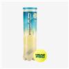 Head Pro Tubo da Tennis 4B