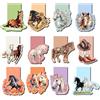 Thboxes 12 Pezzi Segnalibro Magnetico Bambini a Tema Cavallo