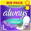 Always Daily Fresh - Salvaslip Long, 100% fibre vegetali, confezione da 38 pezzi, senza profumo