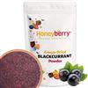Honeyberry Polvere di Ribes Nero Liofilizzato 100g - Frutta Liofilizzata in Polvere - Ribes Nero in Polvere per Dolci, Frullati e Yogurt - Polvere Naturale e Disidratata di Ribes Senza Additivi
