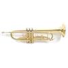 GEWA Roy Benson Bb-Trumpet TR-101 (progettato professionalmente con alesaggio ML, con leadpipe in ottone dorato, custodia rettangolare leggera inclusa, con set di zaini)