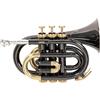 GEWA Roy Benson Bb pocket trumpet PT-101K (campana in ottone di precisione, leadpipe in ottone dorato, tromba tascabile di qualità, inclusa custodia protettiva rettangolare), Antracite