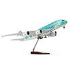 QIYUMOKE 1/160 ANA A380 - Tartaruga verde da 18 pollici, modello grande per Airbus A380, modello di aereo con supporto Sky Jumbo Airliner, modello aereo da collezione