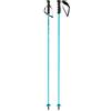 HEAD Bastoni sci Head WC Rebels Carbon