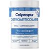 PROTEIN Sa COLPROPUR OSTEOARTICOLARE GUSTO NEUTRO 340G