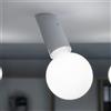 Next DNA lampada a parete/a soffitto 1 luce, E27, DNA-WL-EASY-1-WG, DNA [Lampade per Interni > Lampade a Soffitto]