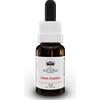 Australian Bush Flowers Green Essence - Essenza floreale per la depurazione dell'organismo, 15 ml