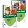 Advantage Antiparassitario Spot on per Gatti sopra i 4KG KIT 8 PIPETTE