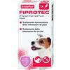BEAPHAR B.V. FIPROTEC*1PIP 2-10KG CANI