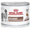 ROYAL CANIN ITALIA SpA VD WET DOG&CAT RECOVERY 195G