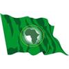 Ideabandiere.com Bandiera Unione Africana per Esterno in Tessuto Nautico Professionale - Tutte le misure