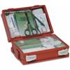 FARMACARE SRL Cassetta Pronto Soccorso Minikit Per Casa, Ufficio E Tempo Libero. Contenitore In Abs Antiurto E Con Supporto Per Il Fissaggio A