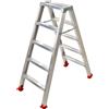 AgriEuro Premium Scala in alluminio doppia 1031, 2x5 gradini, 1.20 m - Altezza stimata operativa 2.20 m