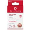 PASQUALI Srl Dermovitamina SOS Herpes Care Cerotti con Acido Ialuronico, 15 Cerotti