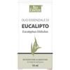 ALCEA Srl Eucalipto Olio Essenziale Bio Alcea 10ml