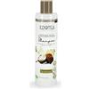 CLENDY SpA EDOTEA SHAMPOO RISTRUTT 250ML