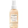 COLLISTAR SpA COLLISTAR ACQ PROF CORPO/CAP