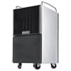 Olimpia Splendid Deumidificatore Olimpia Splendid Seccoprof 40 P - 40l/24h - 200 m3 cod. 02107