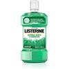 KENVUE ITALIA SPA LISTERINE DIFESA DENTI & GENGIVE 80 ML