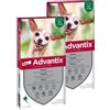 Advantix Spot On Cane Fino a 4Kg KIT 8 PIPETTE