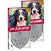 Advantix Spot On Cane 40-60KG KIT 8 PIPETTE