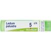 Boiron Ledum Palustre 5ch Rimedio Omeopatico In Contenitore Multidose 80 Granuli