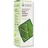 Arcangea Ribes Nigrum Gemmoderivato 33 Bio Integratore Di Drenante 100ml