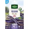 Vilmorin - Semi di fagiolo viola senza fili VELOUR molto fine - 5 metri