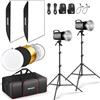 NEEWER Kit Luce Flash Monoluce Studio da 600W: 2pz Luce Stroboscopica 5600K S101-300W PRO con Trigger 2.4G/Lampade Pilota da 150W/Attacco Bowens/Softbox/Stativi/Riflettore/Borsa, Compatibile con QPRO