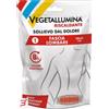 PIETRASANTA PHARMA SPA VEGETALLUMINA FASCIA LOMBARE RISCALDANTE 1 PEZZO