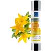 bleu & marine Bretania Gocce di Olio Iperico Massaggio Rilassante Olio Erba di San Giovanni Concentrato Forte 100% Puro Olio Corpo Cicatrici Olio Smagliature Gravidanza Olio Capelli - 50 ml