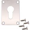 EAI Riparazione Bocchetta Chiave Foro Piastra Coperchio Euro Profilo Vite Fix Acciaio Inox Satinato 65 x 47mm