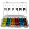 ALKAN-WERKZEUG FK3 - Set di 24 fusibili da 20, 30, 40, 50, 60 e 70 Amp, in valigetta di plastica