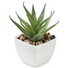 Mini pianta artificiale in PP aloe ferox ARTILOE personalizzate o neutre