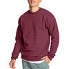 Hanes Felpa EcoSmart da Uomo con Cappuccio EcoSmart, Nero, XXXXXL
