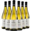Trenél Bourgogne AOC Chardonnay 2024 Box da 6 bottiglie
