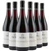 Trenél Bourgogne AOC Coteaux Bourguignons Gamay 2023 Box da 6 bottiglie