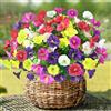TINA Fiori Artificiali per Esterni 8 Mazzi di Petunie Finte Fiori Finti di Petunia Artificiale Piante Finte Resistente ai Raggi UV Fiori Finti per Esterni Interni Decorazione per Casa Balconi Portico