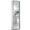 Terraneo Armadio multiservizio 50x182x31 cm con anta specchiata e cornice Cemento